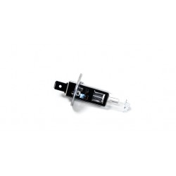 Ampoule 12v 55w h1