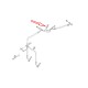 vis de purge brembo avec capuchon