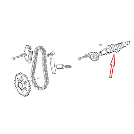 Arbre à cames 308° après 1979