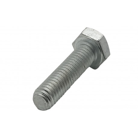 Vis 6 pans  M8x30 inox