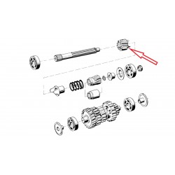 Pignon amortisseur de couple