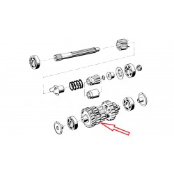 Arbre primaire 17.5°