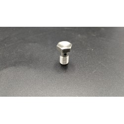 Vis banjo diamètre 10 pas de 100 Inox