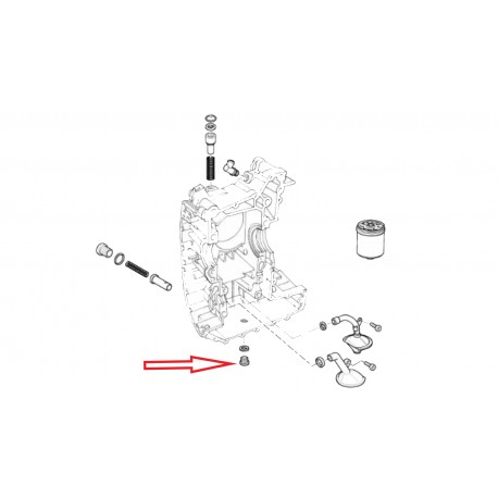 Vis bouchon M16X1.5