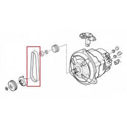 Courroie nervurée poly-v Alternateur