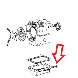 vis de vidange inox  M14X1.5