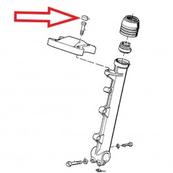 Cache vis de pontet de fourche