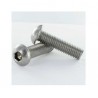 Vis inox M8x35 BHC