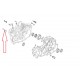 Vis cylindrique