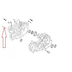 Vis cylindrique