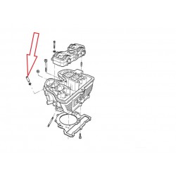 Guide de soupape d'admission F650