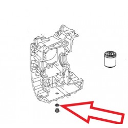 joint de vidange moteur diametre 16