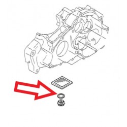 joint de vidange moteur