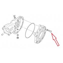 Vis cylindrique M10X30